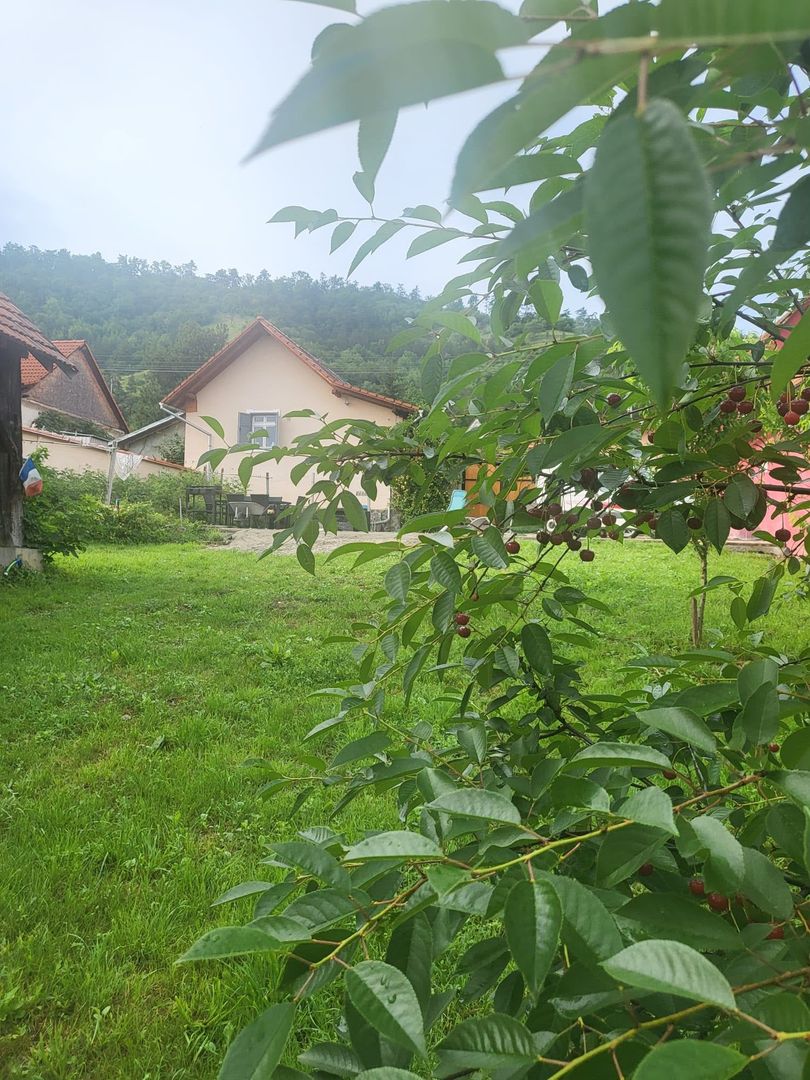 Casa saseasca renovata, cu sura - Seica Mare, Sibiu - Poză 10