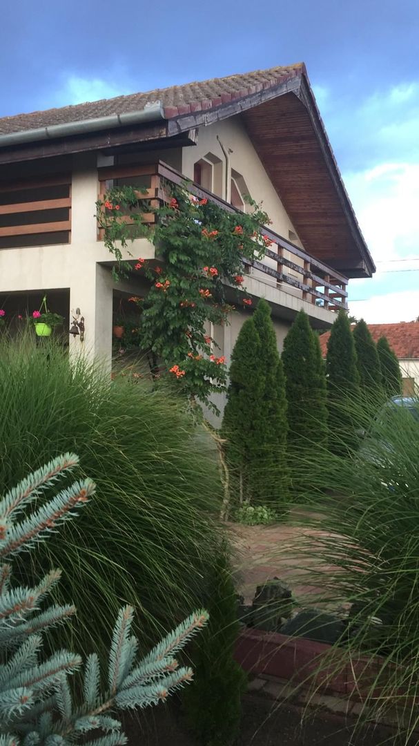 Proprietate cu potențial rezidențial și comercial | Comuna Pesac - Poză 9