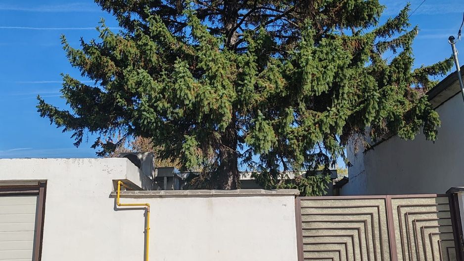 Spațiu birouri & Depozitare în Jilava – Ideal Firme, Magazin on-line - Poză 23