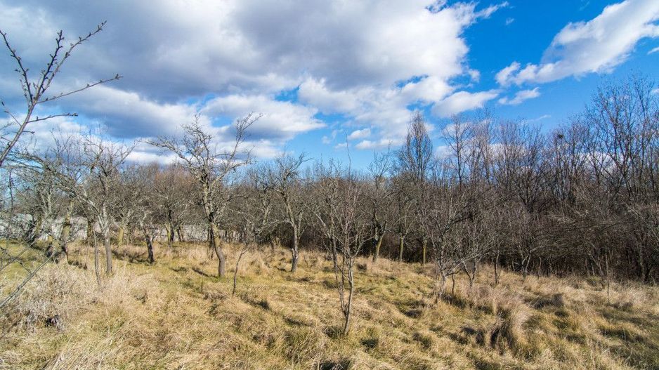 Casa traditionala argeseana – comuna Vedea, jud. Arges - Poză 6