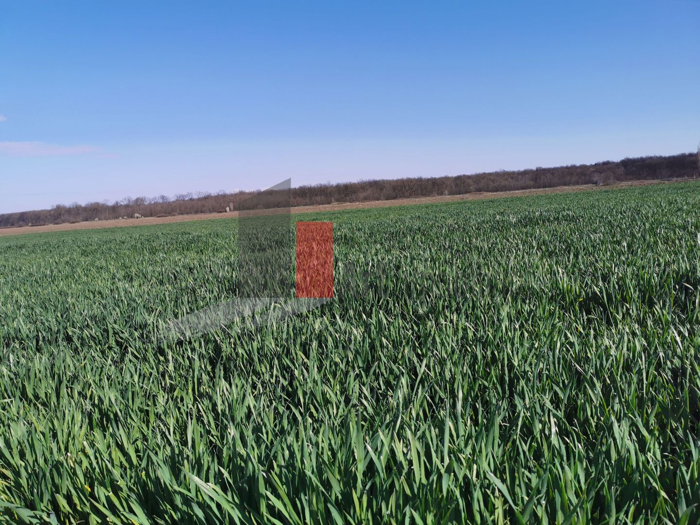 Teren in apropiere de Autostrada Bucuresti Ploiesti - Poză 3