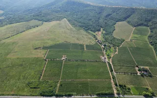 Vie Tradițională „Halta Lupilor” - Poză 35