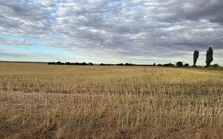 Teren intravilan Branesti - Poză 1