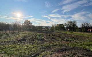 Casă spațioasă de vânzare în Ruși – pentru locuință sau investitie - Poză 19