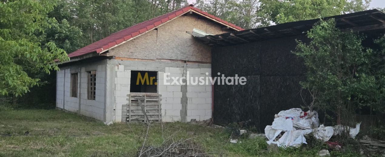 Casă cu 7.769 mp teren și pădure | Budieni | 53.000€ - Poză 10