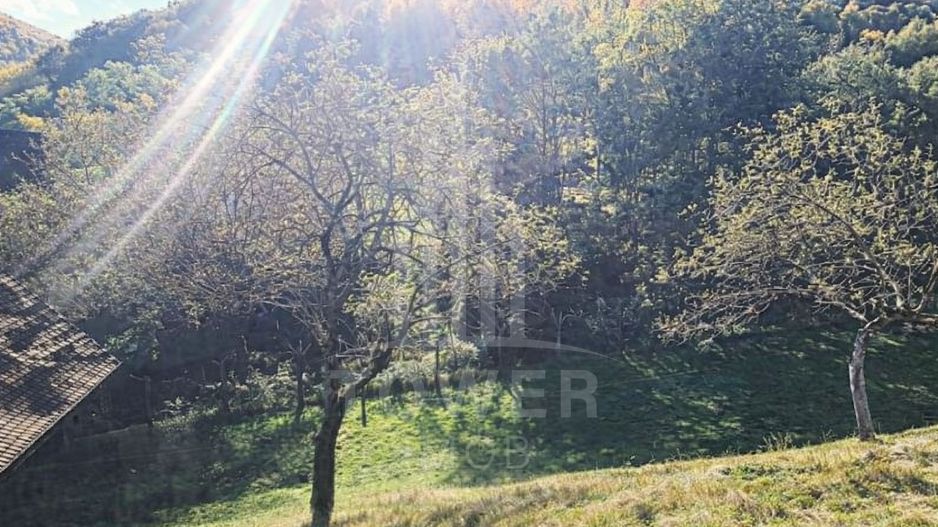 Casa renovata in Fantanele - Poză 17