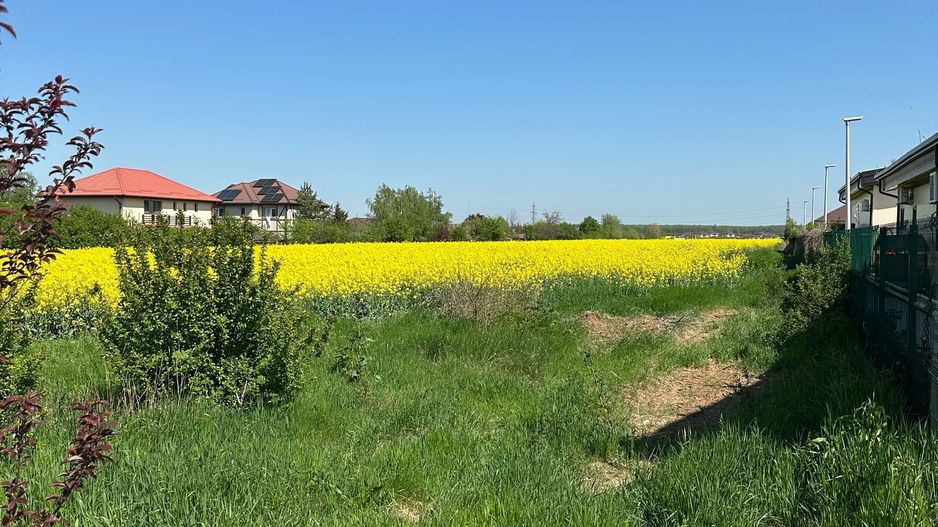 Teren intravilan 26.300 mp Saftica Balotesti-  PUZ în lucru - Poză 16