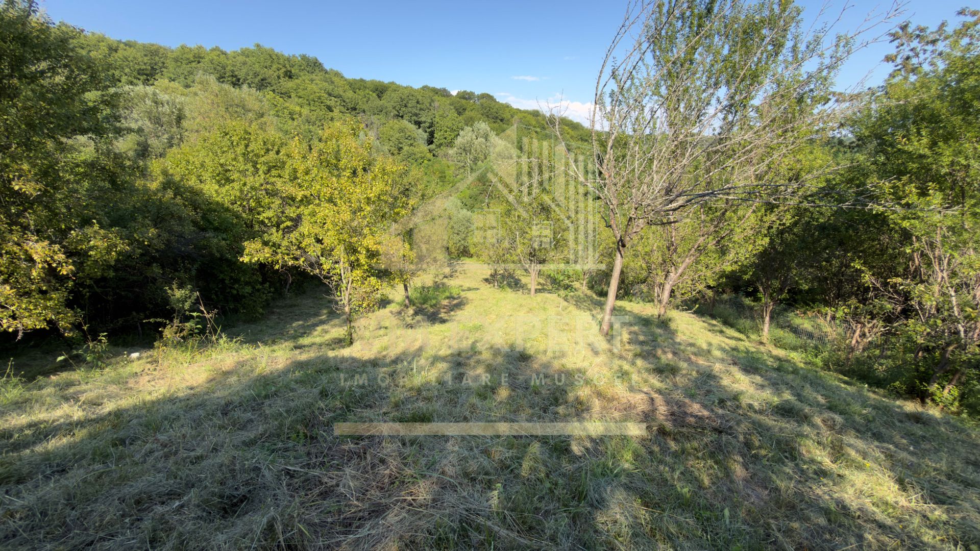 TEREN 3200 MP GODENI ARGEȘ - Poză 15