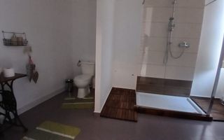 Vilă individuală | Ultracentral | 270 mp utili | Ideal locuință sau business - Poză 18