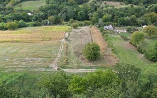 Teren intravilan lângă pădure, Racova - Poză 3