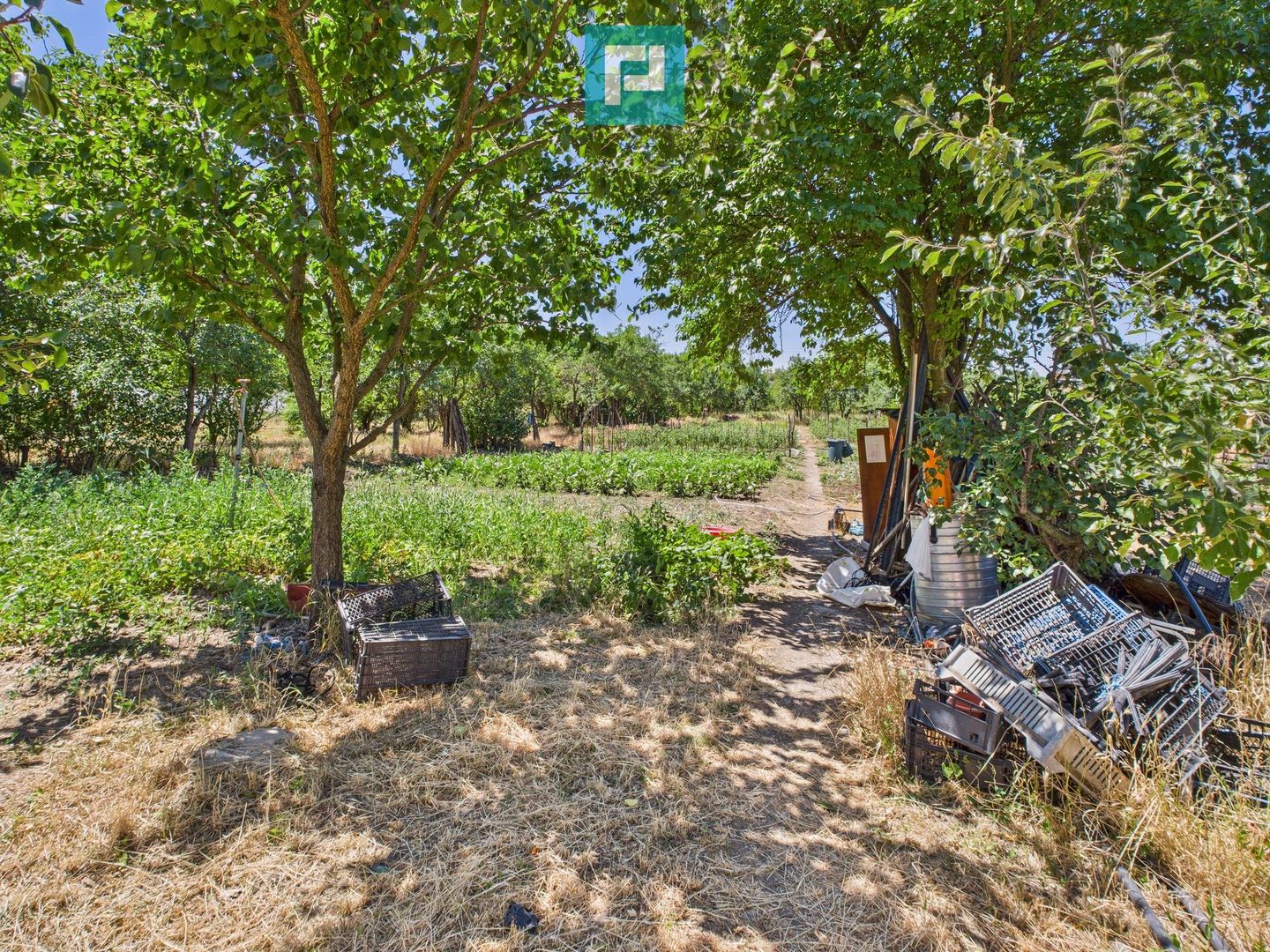 Casă cu 4 camere și teren de 1450 mp în Aradul Nou - Poză 3