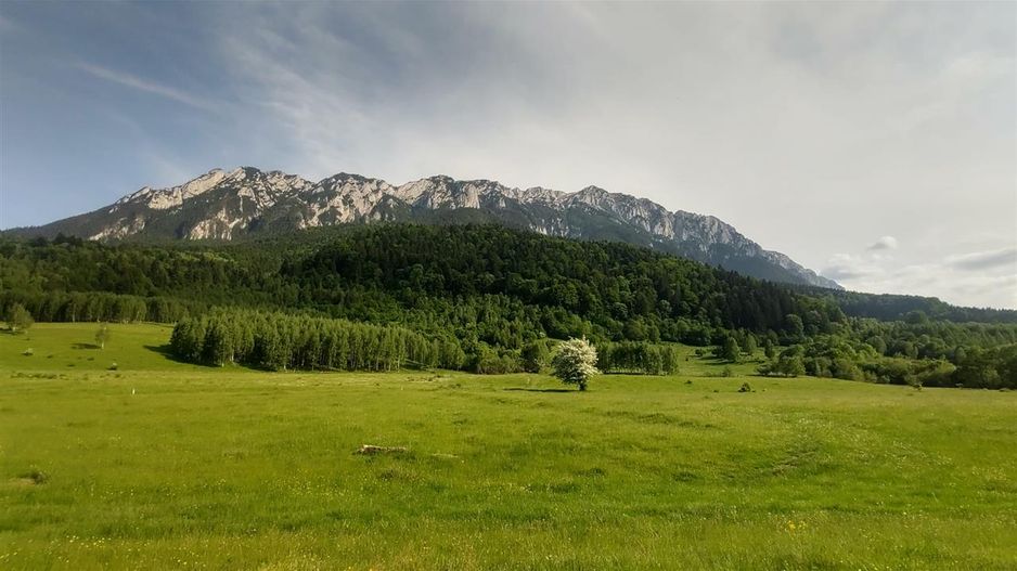 O noua poveste in fiecare zi,dezvaluita de pesiajul mirifc catre Piatra Craiului - Poză 7