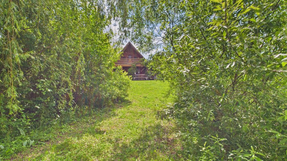 Teren cu baltă- oportunități multiple la Fibiș - Poză 42