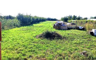 Casa Biharia - Poză 6