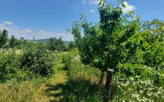 CASA PLAN PARTER + MANSARDA  1850  MP TEREN - Costuleni,Hilita🌿 - Poză 21