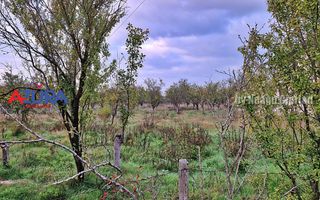 AZURA Imobiliare - Teren Bascov str Paisesti Deal - Poză 10