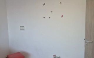 APARTAMENT METROU ZONA TINERETULUI - Poză 3