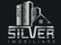 Silver Imobiliare - Logo
