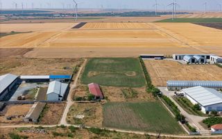 Cogealac - Tariverde – Ferma cu teren intravilan, utilitati racordate! - Poză 4