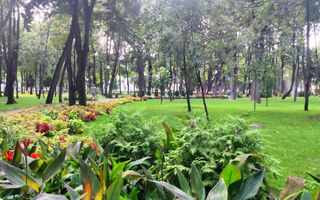 Apartament 1 camera Copou - Liceul Negruzzi - Poză 16