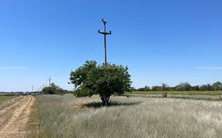 🌿 Teren de vânzare – Tărtășești ,12500 E - Poză 6