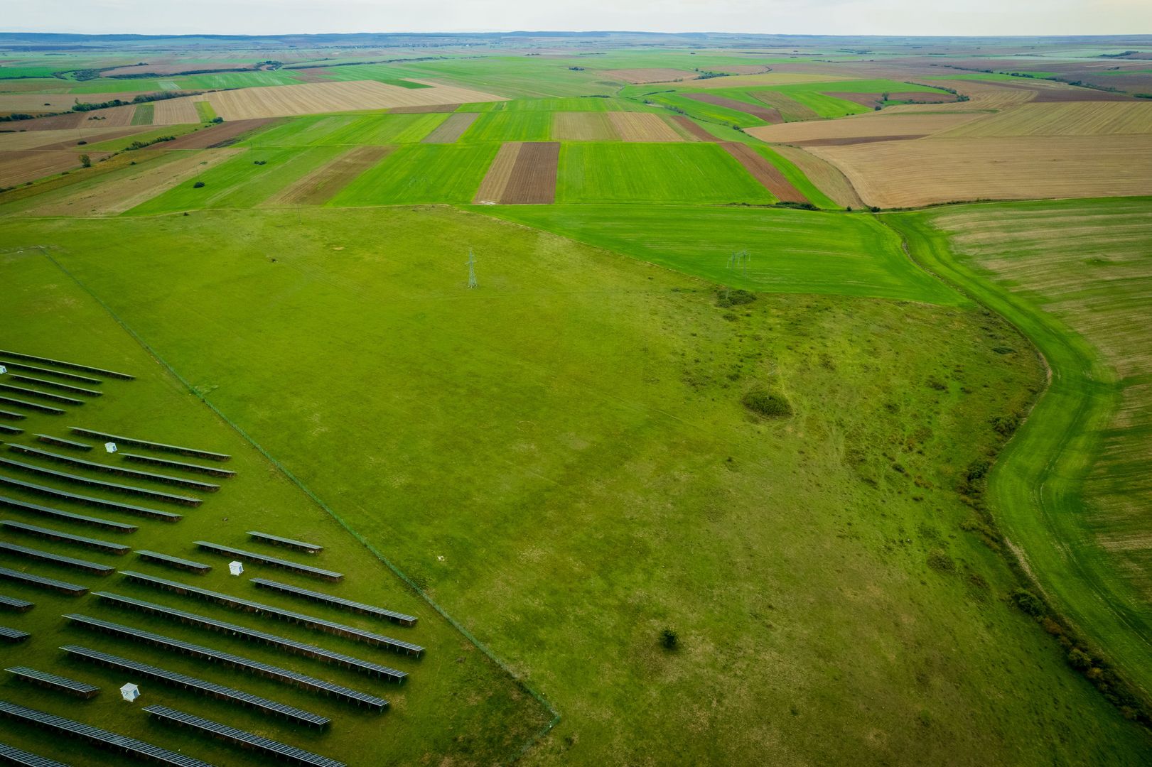 Teren 48.900 mp în Frumușeni - Poză 2