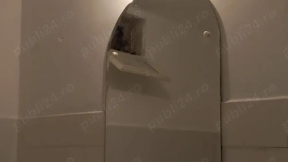 3 camere de vânzare, Titan - Auchan, zonă liniștită L331 - Poză 8