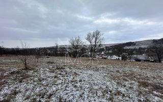 Casa individuala cu teren generos – 8.356 mp – Tichindeal, jud. Sibiu - Poză 8