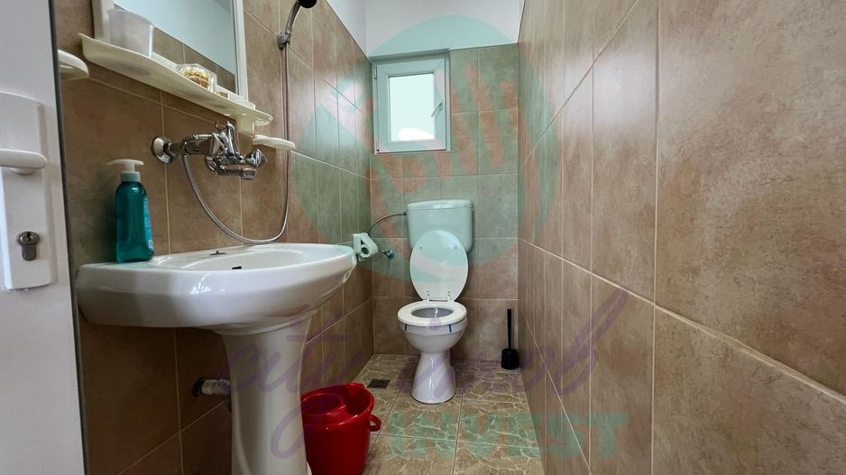 Silistea Snagovului-Casa de VACANTA  cu piscina - Poză 14