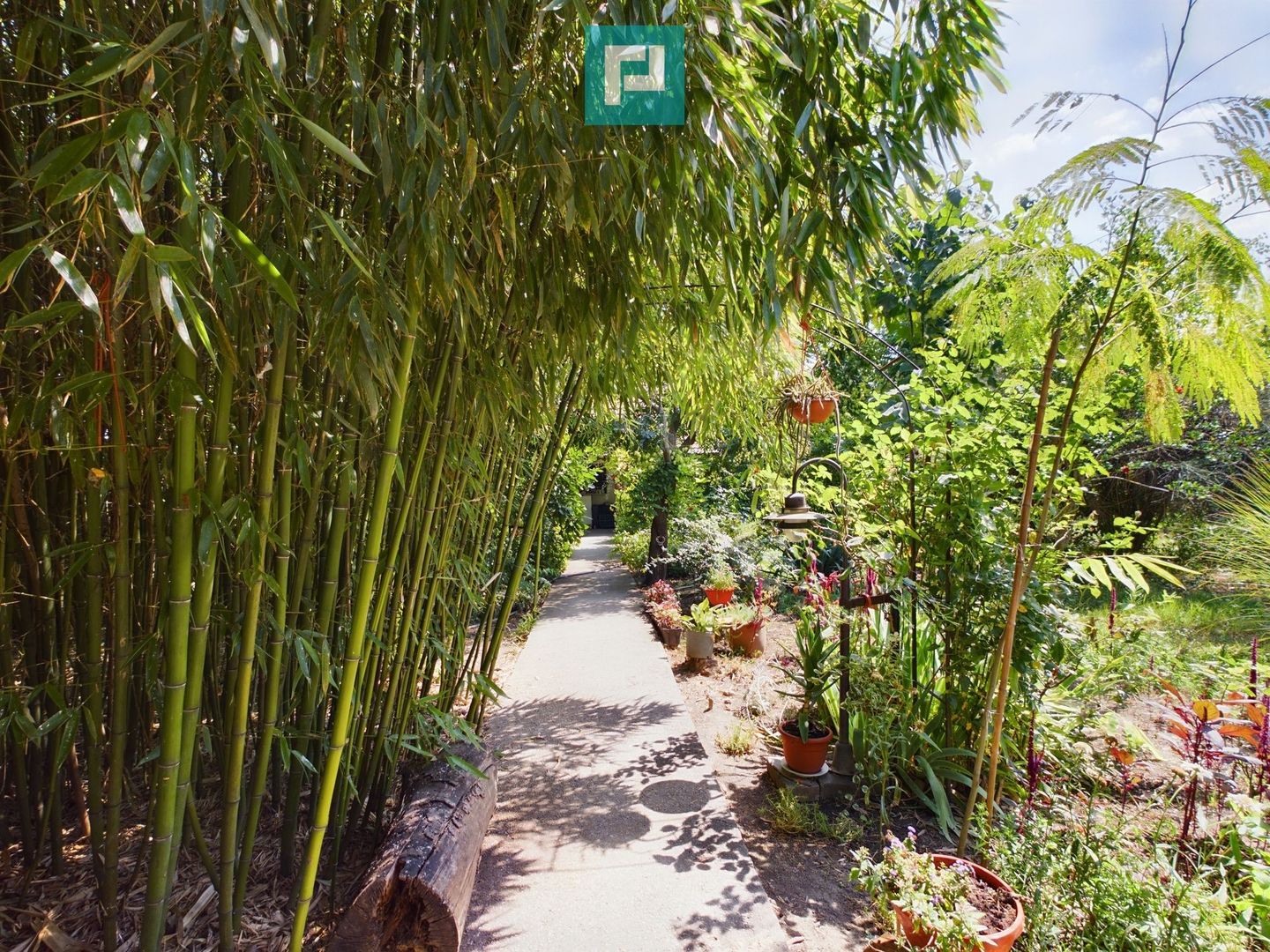 Casă cu livadă de pomi în Dorobanți - Poză 19