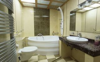 Chirie, apartament, 1 cameră, bd. Decebal, Botanica - Poză 11