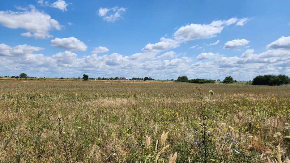 PUZ rezidential /servicii de vanzare Sacalaz - Poză 10