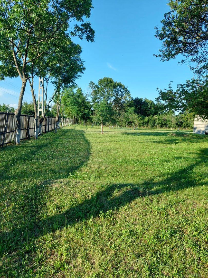 Vanzare casa deosebita, Suseni, Arges - Poză 4