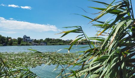 VILA 6 CAMERE SNAGOV IZVORANI LAC -TEREN 1800mp