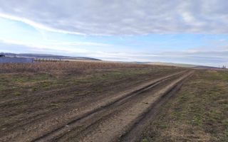 Teren intravilan parcelat – Șura Mică - Poză 1