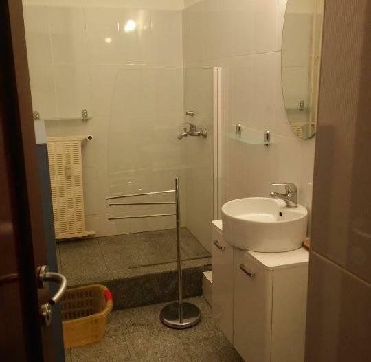 Garsoniera Campia Libertatii/Facultatea de Medicina Titu Maiorescu - Poză 6