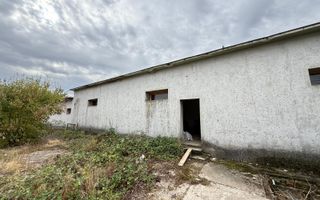 Hala de productie sau pentru depozitare Ortisoara - Poză 1