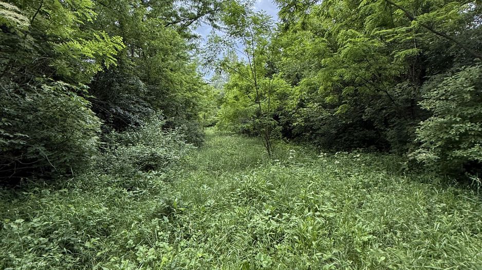Teren plat-intravilan -3800 mp, cu pădurice și ieșire la râu! - Poză 29