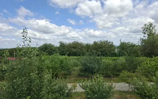 Pensiune 600 mp an 2023 si casa 130 mp teren 4600 mp zona V. Avrigului - Poză 14