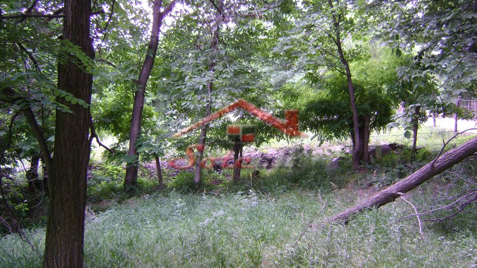 Teren de vanzare Cornu 3074 mp - Poză 3