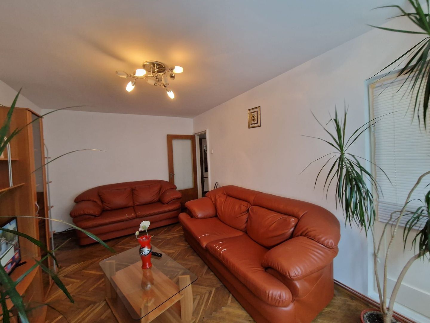 Apartament 3 camere Popa Sapca - Ramada, etaj 1 - Poză 1