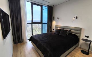 Chirie, apartament, 2 camere, bul. Ștefan cel Mare, Centru - Poză 4