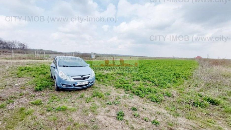 Teren de vanzare Cocani, Crevedia, langa padure Dambovita - 17 km de Bucuresti - Poză 6