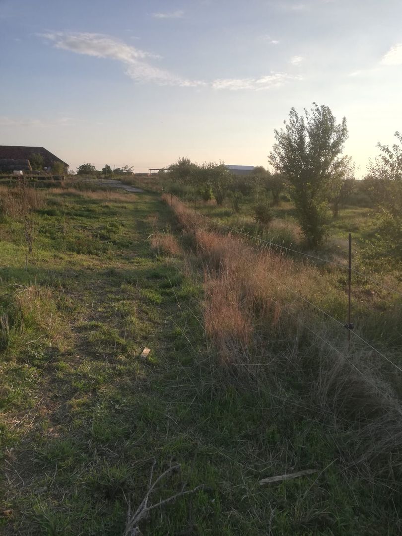 Ferma de vânzare - Poză 7