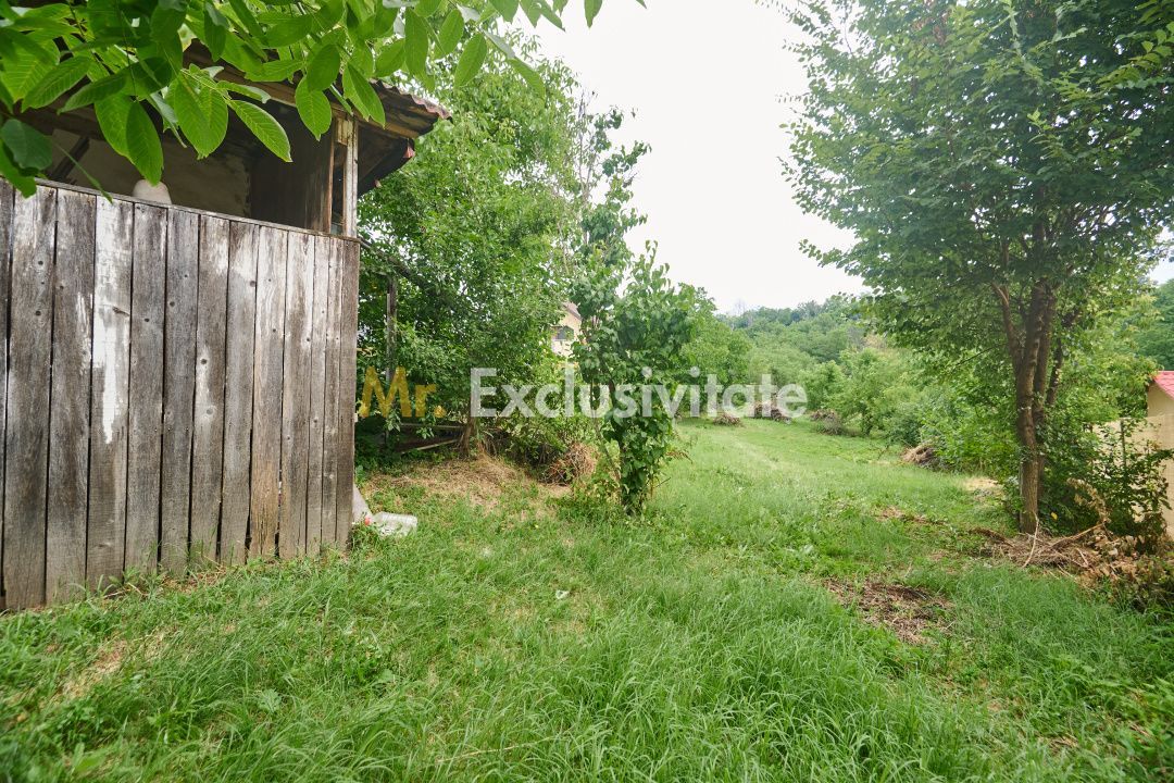 Teren 2240 mp intravilan + casa batraneasca Hintesti-Basangesti - Poză 4