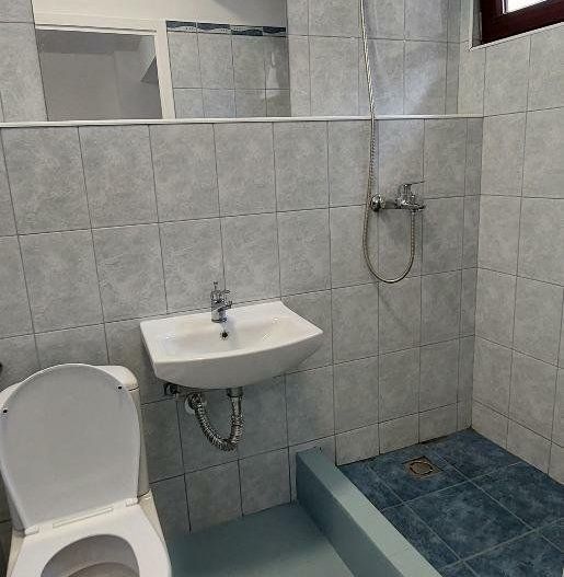 Închiriez pentru Birou,  Sediu Firma,  Cabinet,  Locuinta- zona Piata Unirii - Poză 4