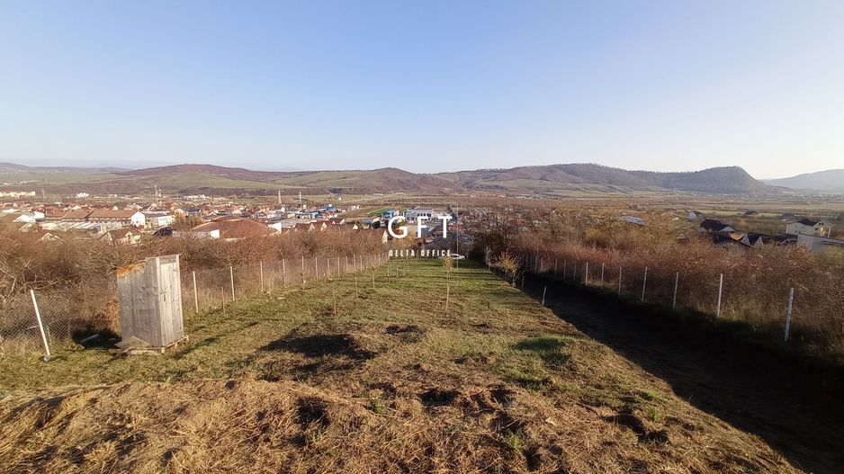 Teren Viisoara 27 ari - Poză 3