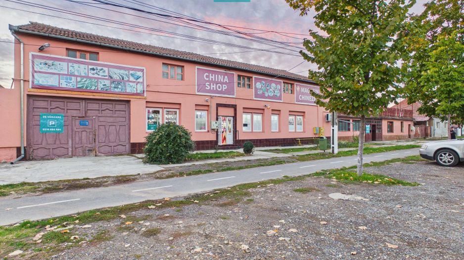 Proprietate impresionantă Sântana - 3500 mp utili - Poză 3