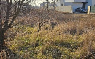 Teren Campul Pipera 425 mp plus 68 mp cota drum pentru constructie - Poză 3