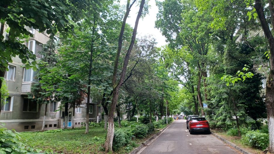 Apartament 2 cam, P-ța București. 65 000 E. Comision 0 - Poză 1